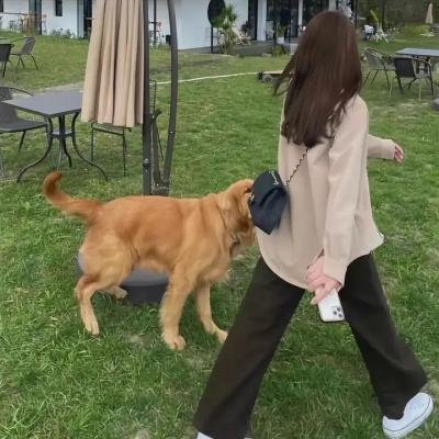揭露